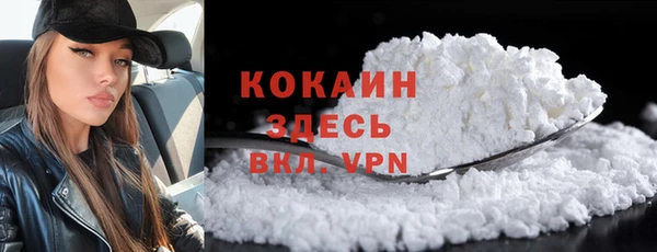 шишки Медвежьегорск