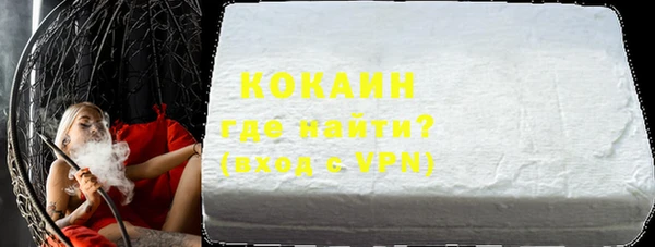 шишки Медвежьегорск