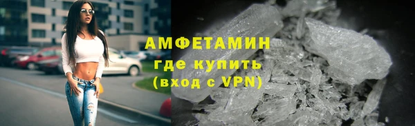 шишки Медвежьегорск