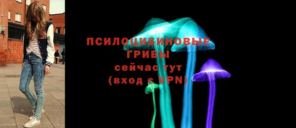 ешки Михайловка
