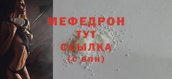 шишки Медвежьегорск
