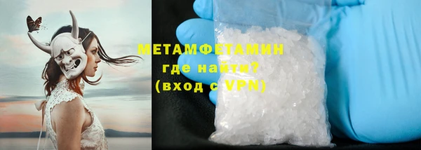 шишки Медвежьегорск