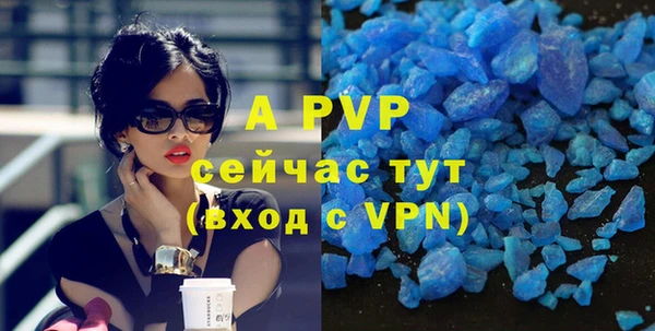 шишки Медвежьегорск