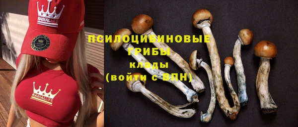 ешки Богородицк