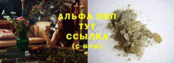 шишки Медвежьегорск