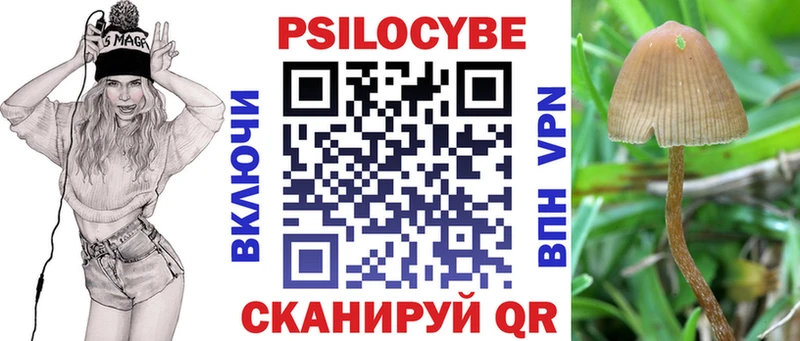 Галлюциногенные грибы MAGIC MUSHROOMS  Дзержинск 