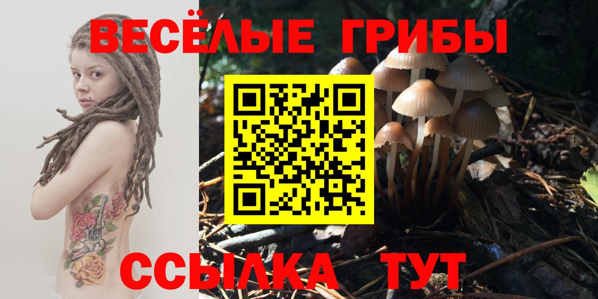 Псилоцибиновые грибы MAGIC MUSHROOMS  Дзержинск  Псилоцибиновые грибы Psilocybe 